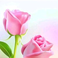 Farman Khan