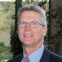 David A. Lies