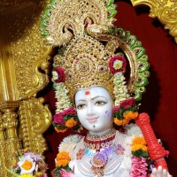 Tussar Khokhariya