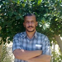 Yasser Abu Elsoud