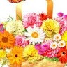 D JAGADEESH