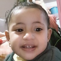 Mahmoud Elshref