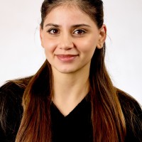 Arlin Kemi
