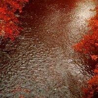 邓海宏