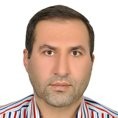 Hamid Mirzaaghaei