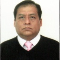 Gustavo Alberto Tepox Rosas