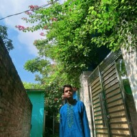 Hamim Islam