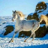 易金根
