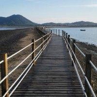 阳海波