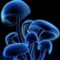 李克玉