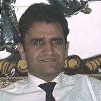 Hamid Amini