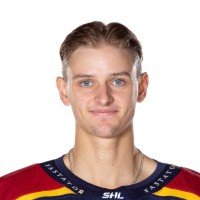 Ludvig Hedström