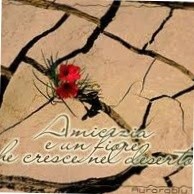 anna favuzzi