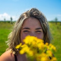 Manon van Gils