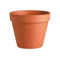 Lies Pots