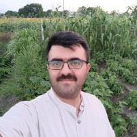 Mustafa Kurt