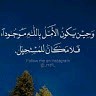 ابو حسن