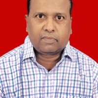 Anilandaeshsexpert Panda