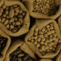 Xristis BIOS