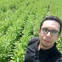 Henrique Carneiro Colares