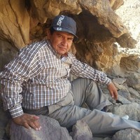 nashaat awwad