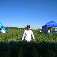 Matheus Bergamini Rigoleto