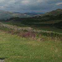 Daniel Jarvis