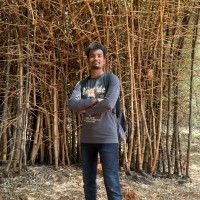 Thamaraiselvan P