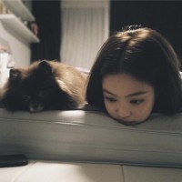 王妍丹