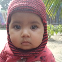 Joynal Abedin