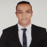 Mohamed Hassan