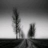 Michael Havard