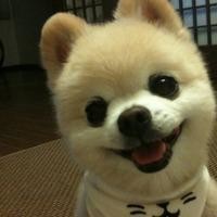 李英杰