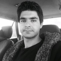 Amin Hamzei