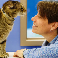 Salise Shuttlesworth