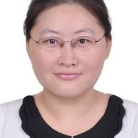 Lingxiao Meng