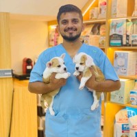 Dr.Hashim Afzal