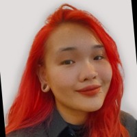 Minh Anh Phi