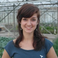 Meike Lockhorst