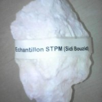 STPM (Sidi Bouzid)