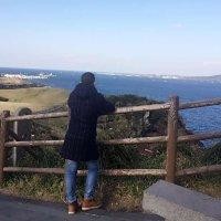 黄振武