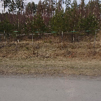Pekka Korpi