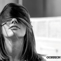 Gorrion Bolsas de viaje