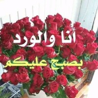 يوسف محمد