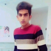 Arshiya Mobin