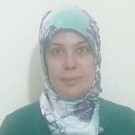 Salima Mnif, Ing. Dr.