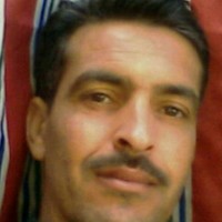 Dzair Bladi