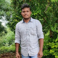 Prasad Hari