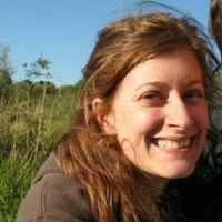 Jodi Tomlin