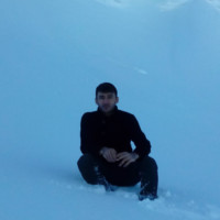 Seyedali Mirdousti